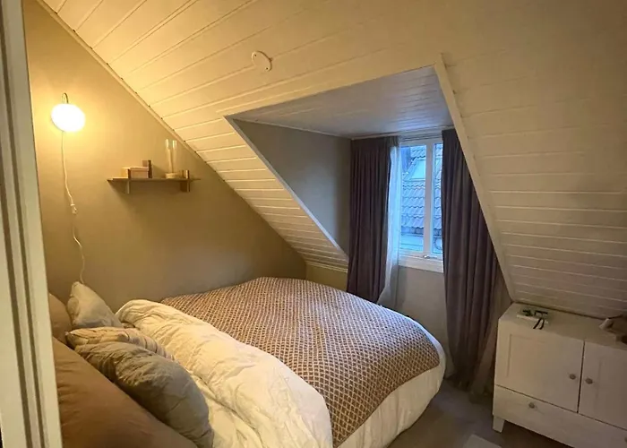 View, Stylish Loft And Location * Trondheim